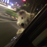 堅