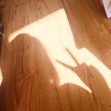 囧囧玉
