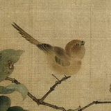 我爱甘蓝