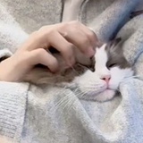 草莓甜甜圈