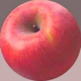 奶黄包