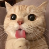 新西兰猕hotel