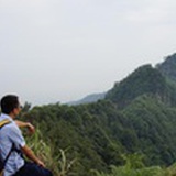 默