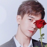 是树赖哇