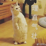 理不直气壮