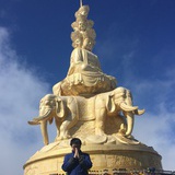 马吉马鸡柳