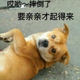 狗咬狗一嘴毛