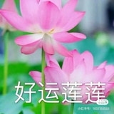 林讲真