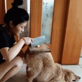 哇哇