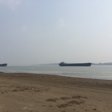 小米粒儿