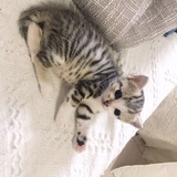 隐形人