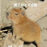 xiaojuanhaha