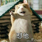 寻找快乐