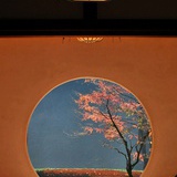 然然枫