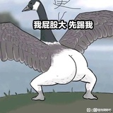 灰太郎骑竹马