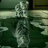 宇波无际