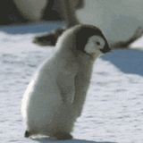 vv