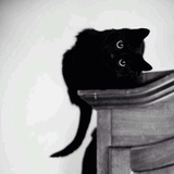 丹 ~