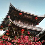 柚子