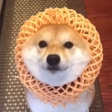 大米