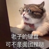 七七喝红豆奶茶