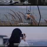 南风过境