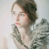 寻夏