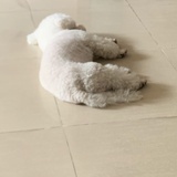 病入膏肓