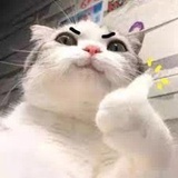恩