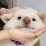 豆友141201031
