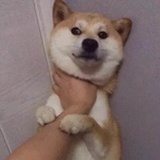 hey~