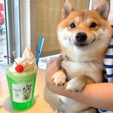 怡然