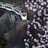 宝·艾莉