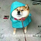 沉梦