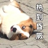 米哒