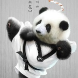 锦洪