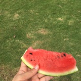 勐
