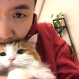 王一贝