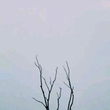 许大汉子
