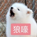 负6