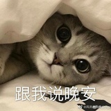 蘑菇鱼一哑