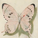 吃甜瓜了没