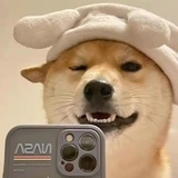 楚处