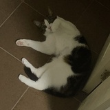 陈扬Joy