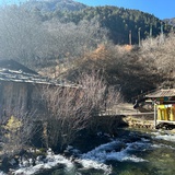 勺子