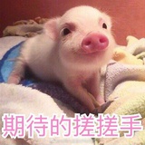 啊仁叫我西瓜妹