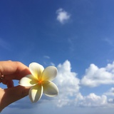 璐尛茉_迈