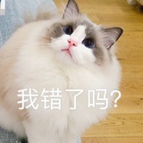 辞丹凤