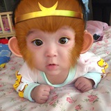小杨仔