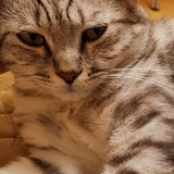 努力再努力♠️